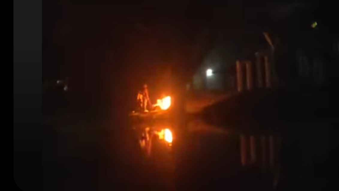 জীবন্ত গাছে মাদকসেবীদের আগুন